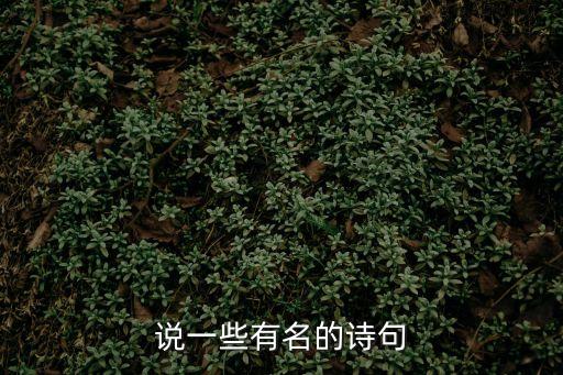 說一些有名的詩句