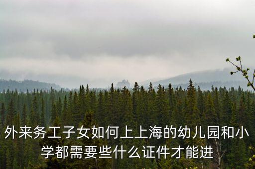 上海市適齡幼兒入園信，未入園適齡兒童辦理入學信息登記的各區縣指定地點在哪里