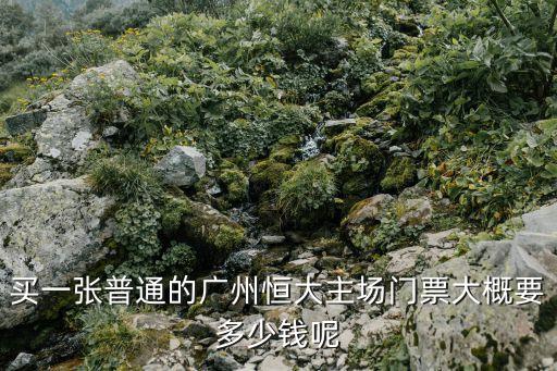 買一張普通的廣州恒大主場門票大概要多少錢呢