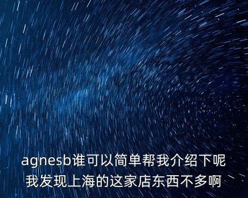 agnesb誰可以簡單幫我介紹下呢我發現上海的這家店東西不多啊