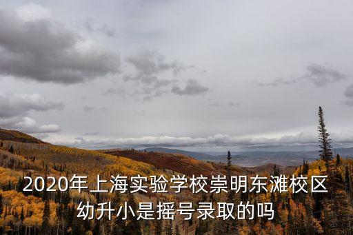 2020年上海實驗學校崇明東灘校區幼升小是搖號錄取的嗎