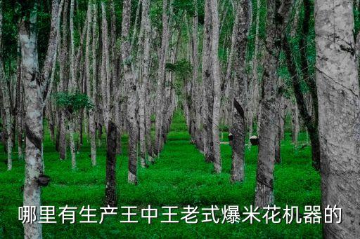哪里有生產(chǎn)王中王老式爆米花機器的