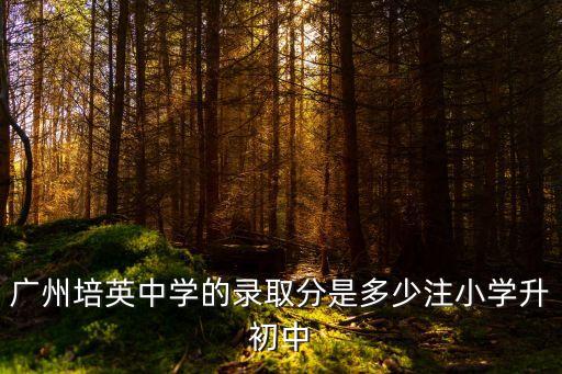廣州培英中學(xué)的錄取分是多少注小學(xué)升初中