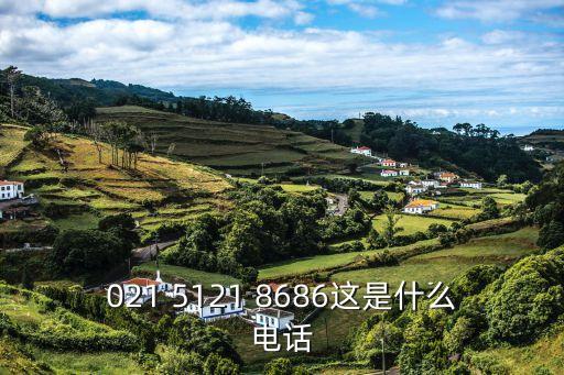 上海市英祈工貿(mào)有限公司，021 5121 8686這是什么電話