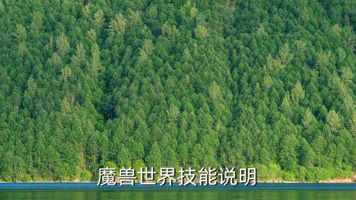 魔獸世界技能說明