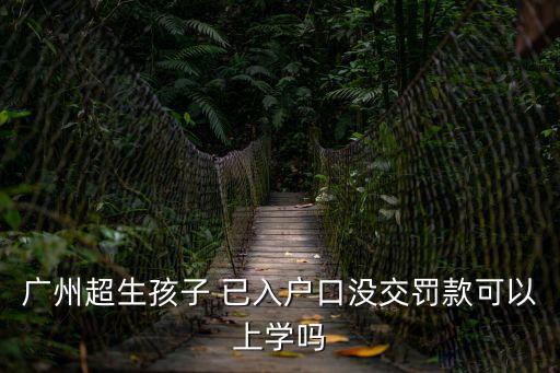 廣州媽媽網超生入學，可以在網上預約系統超生嗎