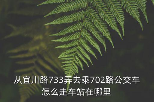 從宜川路733弄去乘702路公交車怎么走車站在哪里