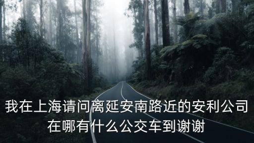 上海市延坡南路，上海市徐涇鎮崧澤大道600號所屬街道是