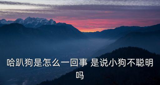哈趴狗，哈趴狗是怎么一回事 是說小狗不聰明嗎