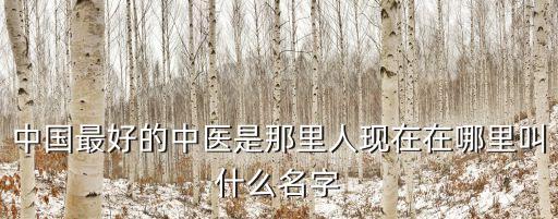 中國最好的中醫(yī)是那里人現(xiàn)在在哪里叫什么名字