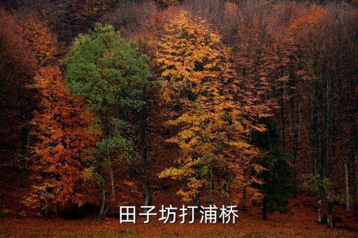 上海市擼小串燒烤打浦橋田子坊，上海田子坊的具體地址是什么啊