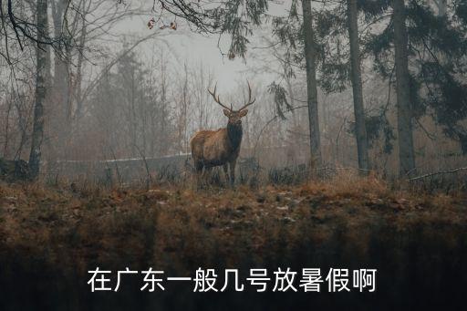 在廣東一般幾號放暑假啊