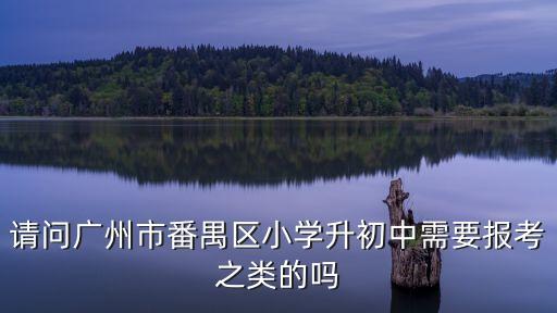 廣州番禺區公辦初中報名，請問廣州市番禺區小學升初中需要報考之類的嗎