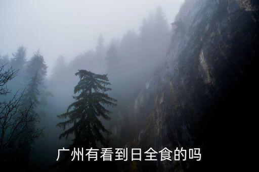 廣州有看到日全食的嗎