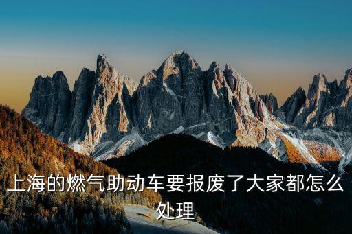 上海市燃氣助動車整治，上海的燃氣助動車要報廢了大家都怎么處理
