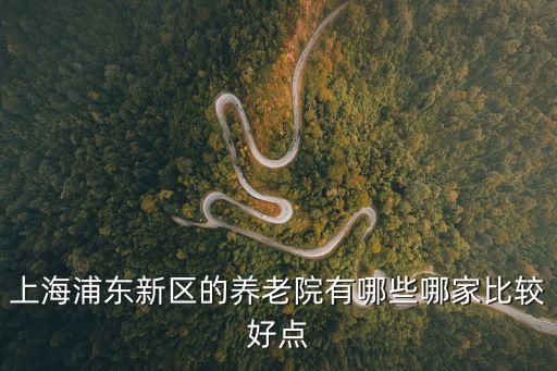 上海浦東新區(qū)的養(yǎng)老院有哪些哪家比較好點