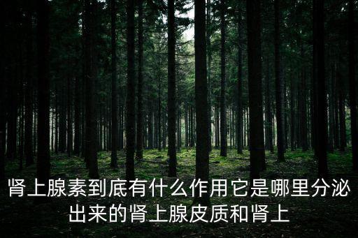 腎上腺素是什么，腎上腺素是強心劑那去甲腎上腺素叫什么啊