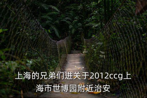 上海的兄弟們進關于2012ccg上海市世博園附近治安