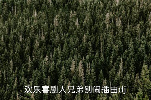 歡樂喜劇人兄弟別鬧插曲dj