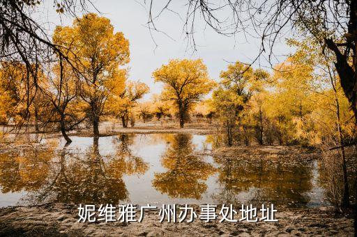yanc plus廣州，妮維雅廣州辦事處地址