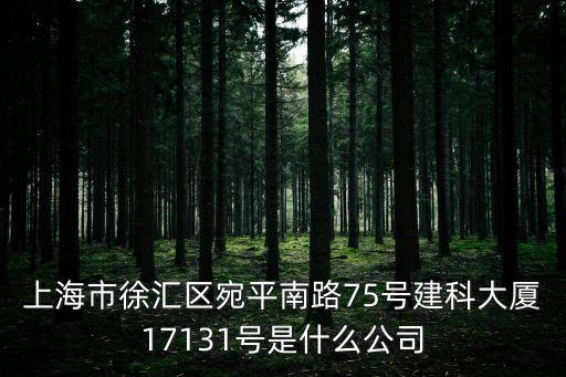 上海市徐匯區宛平南路75號建科大廈17131號是什么公司
