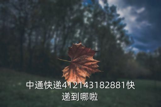 中通快遞412143182881快遞到哪啦