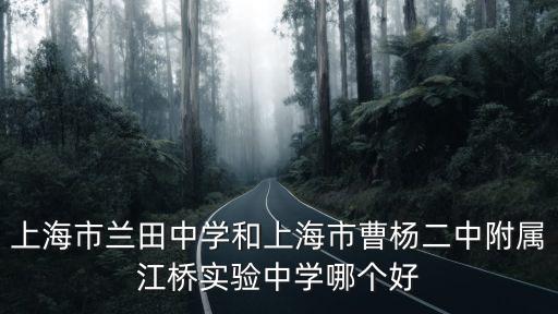上海市蘭田中學(xué)和上海市曹楊二中附屬江橋?qū)嶒炛袑W(xué)哪個好