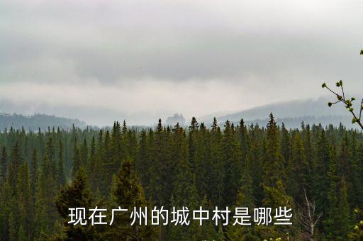 廣州確診城中村，廣州橫枝崗算不算城中村