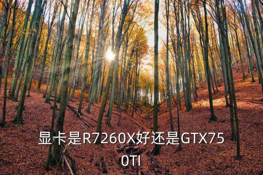 顯卡是R7260X好還是GTX750TI