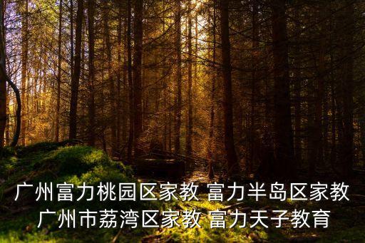 廣州市富力桃園中學招生，廣州富力桃園