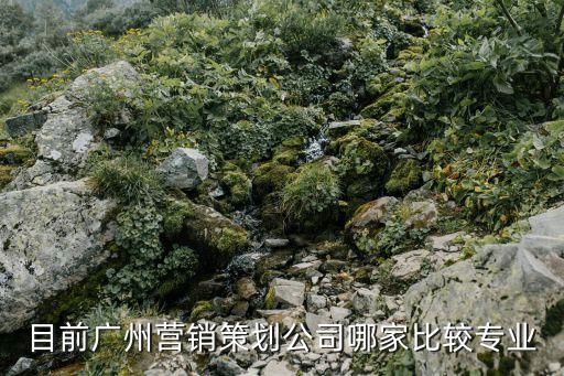 目前廣州營銷策劃公司哪家比較專業