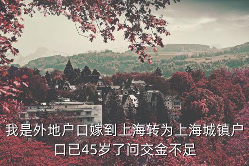 我是外地戶口嫁到上海轉(zhuǎn)為上海城鎮(zhèn)戶口已45歲了問交金不足