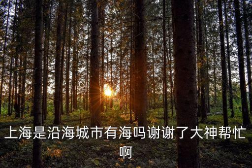 上海是沿海城市有海嗎謝謝了大神幫忙啊