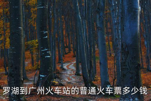 羅山到廣州火車票，羅湖到廣州火車站的普通火車票多少錢