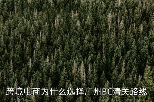 跨境電商為什么選擇廣州BC清關(guān)路線