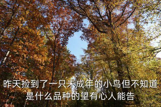昨天撿到了一只未成年的小鳥但不知道是什么品種的望有心人能告