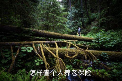 個人養老保險查詢，怎樣查找個人養老保險信息
