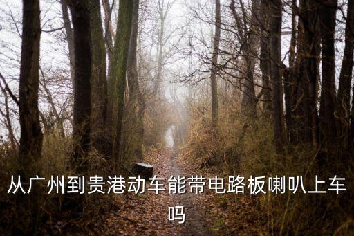 從廣州到貴港動車能帶電路板喇叭上車嗎