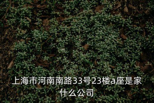 上海市河南南路33號23樓a座是家什么公司