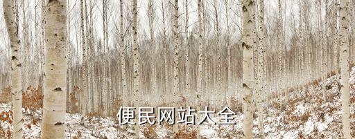上海市最新便民網(wǎng)，便民網(wǎng)