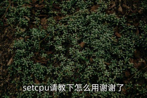 setcpu請教下怎么用謝謝了