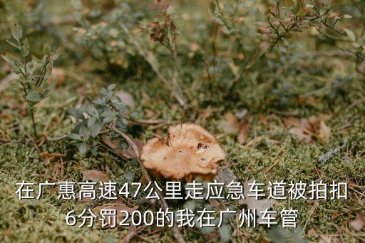 在廣惠高速47公里走應急車道被拍扣6分罰200的我在廣州車管
