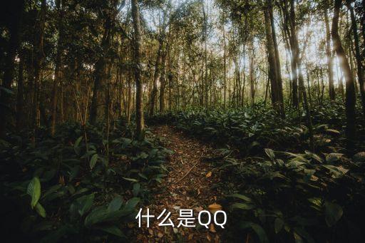 廣州奇文科技旗下小說 PP，什么是QQ
