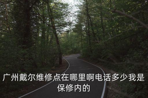 廣州dell保內售后，廣州戴爾維修點在哪里啊電話多少我是保修內的
