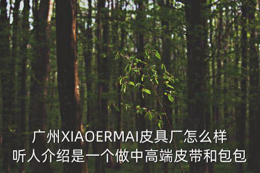 廣州市杰琪皮具，廣州XIAOERMAI皮具廠怎么樣聽人介紹是一個做中高端皮帶和包包