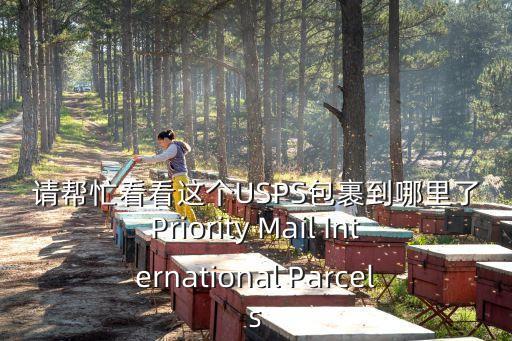 請(qǐng)幫忙看看這個(gè)USPS包裹到哪里了Priority Mail International Parcels
