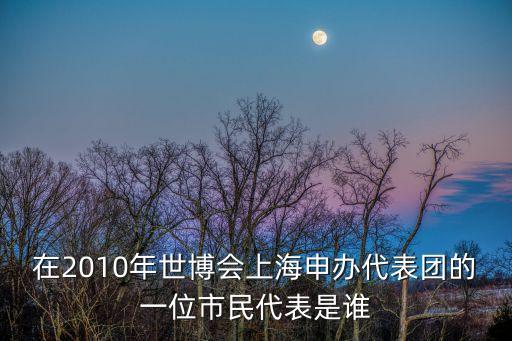 在2010年世博會上海申辦代表團的一位市民代表是誰