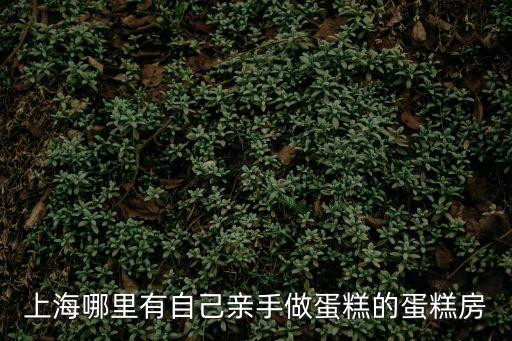 上海哪里有自己親手做蛋糕的蛋糕房