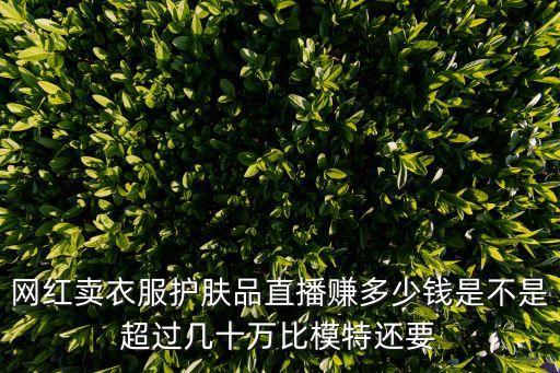網(wǎng)紅賣衣服護膚品直播賺多少錢是不是超過幾十萬比模特還要