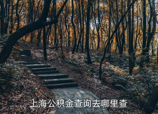 上海市各區公積金建行電話，上海公積金貸款有哪些銀行可以辦要提供收入證明的話有沒有書寫格